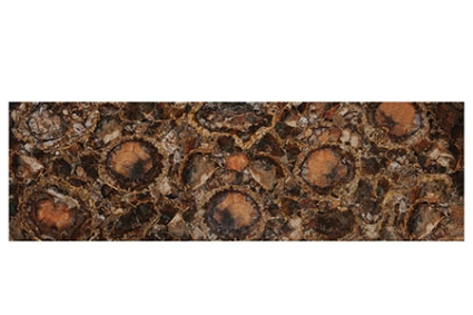 Petrified Wood With Gold