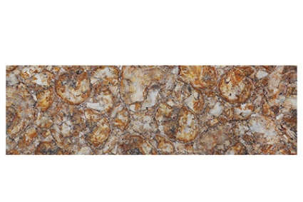 Yellow Petrified Wood 1